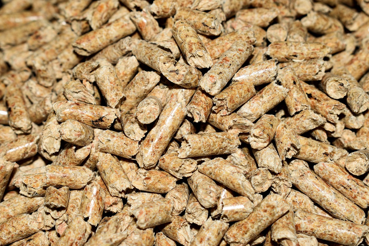 Immagine di un sacco di pellet con etichetta IVA agevolata al 10% per il bonus invernale.