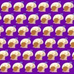 Immagine di cinque immagini simili, con un oggetto diverso da trovare tra di esse.